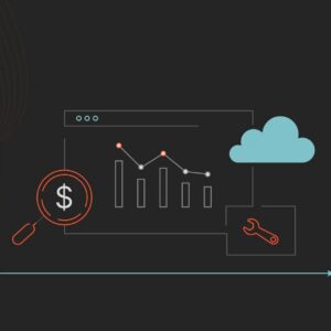 Multi-Cloud Optimization & Management